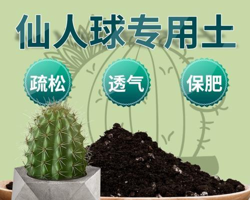 仙人球花盆里应该使用哪种肥料？