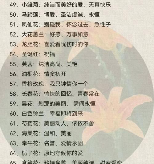 不同数量的玫瑰花代表什么意义？