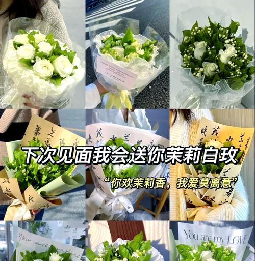 蓝玫瑰与茉莉花语有何不同？