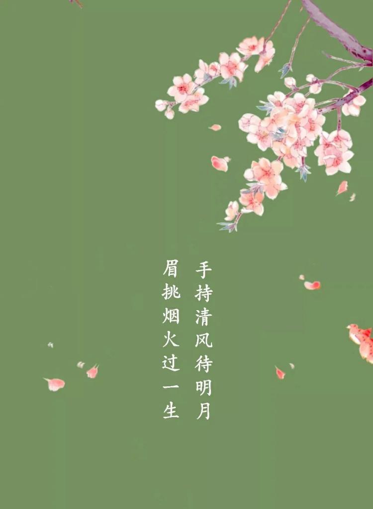 一路开花的花语代表什么？