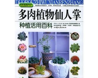 琥珀馆仙人掌的种植方法是什么？有哪些要点？