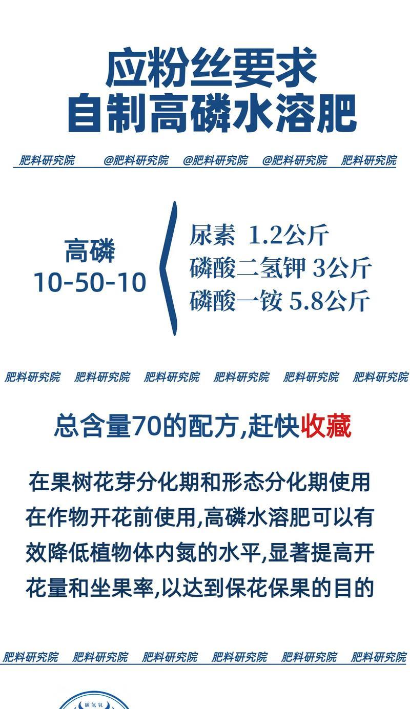 玫瑰花施用磷铵肥料的正确方法是什么？