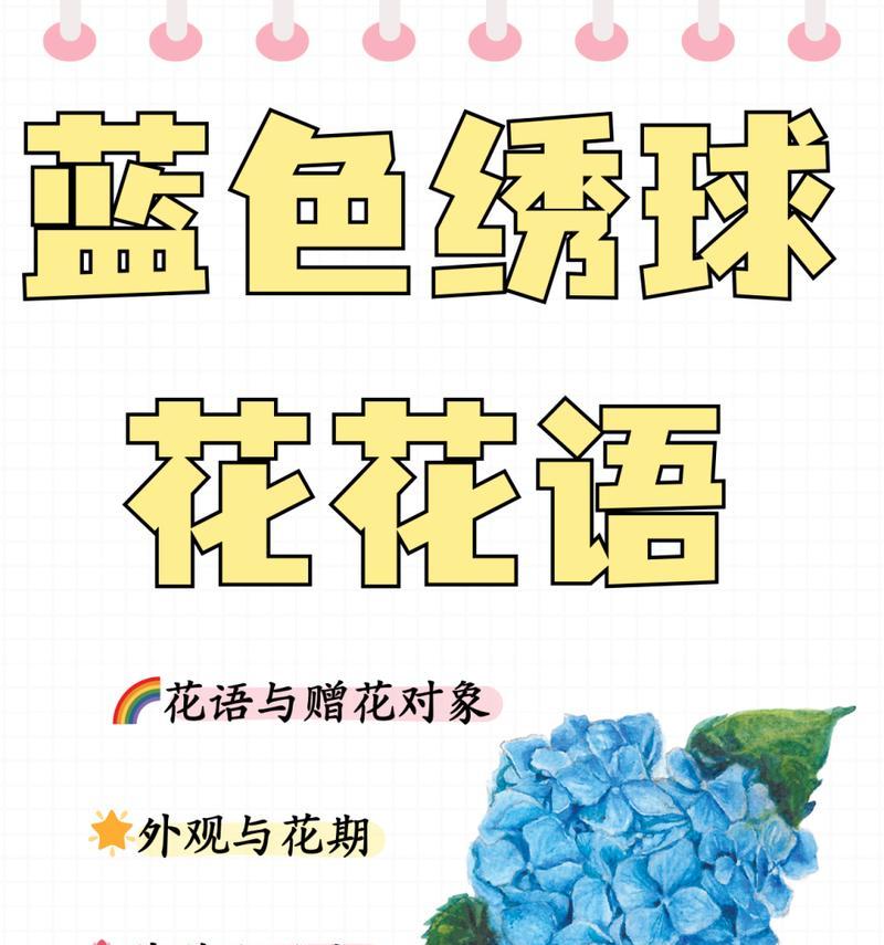 希望你永远快乐的花语是什么？这种花语有何含义？