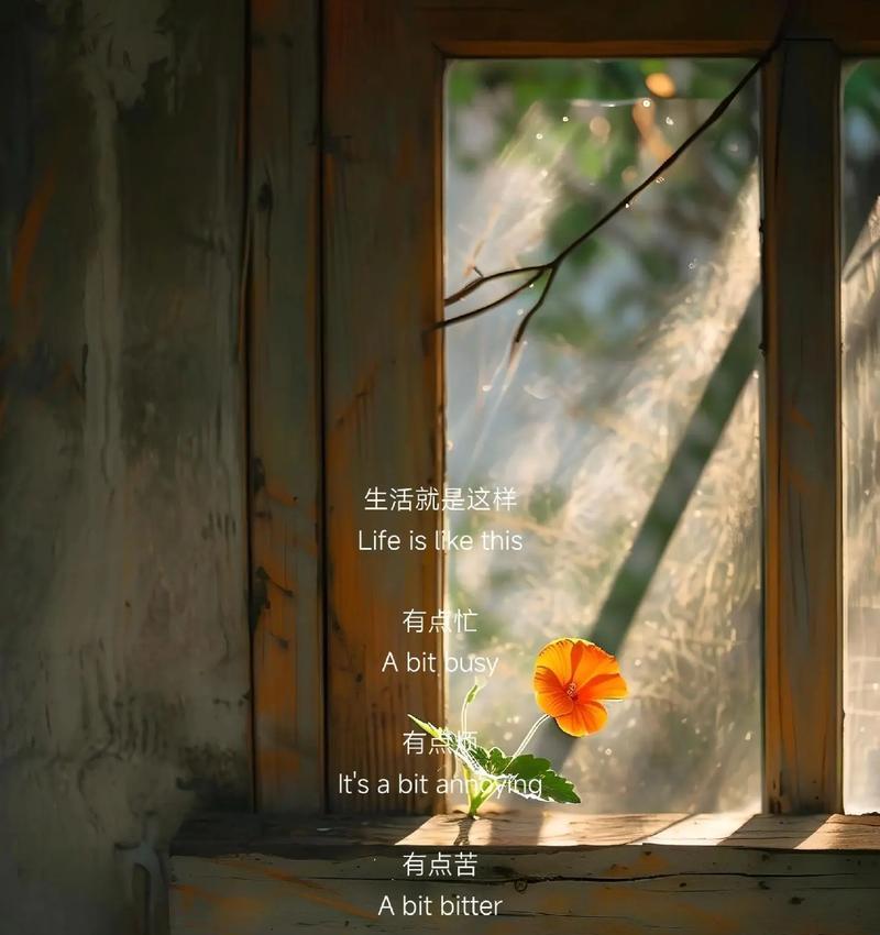 希望你永远快乐的花语是什么？这种花语有何含义？
