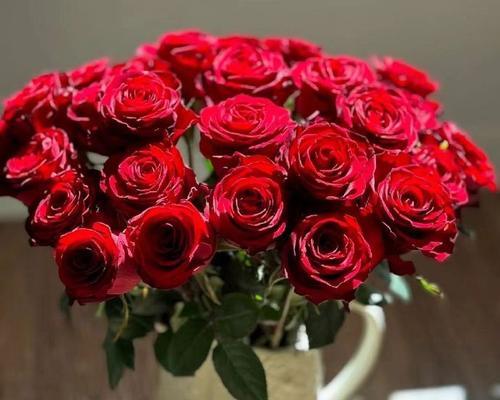 水养红色玫瑰花需要注意什么？如何正确进行水养？
