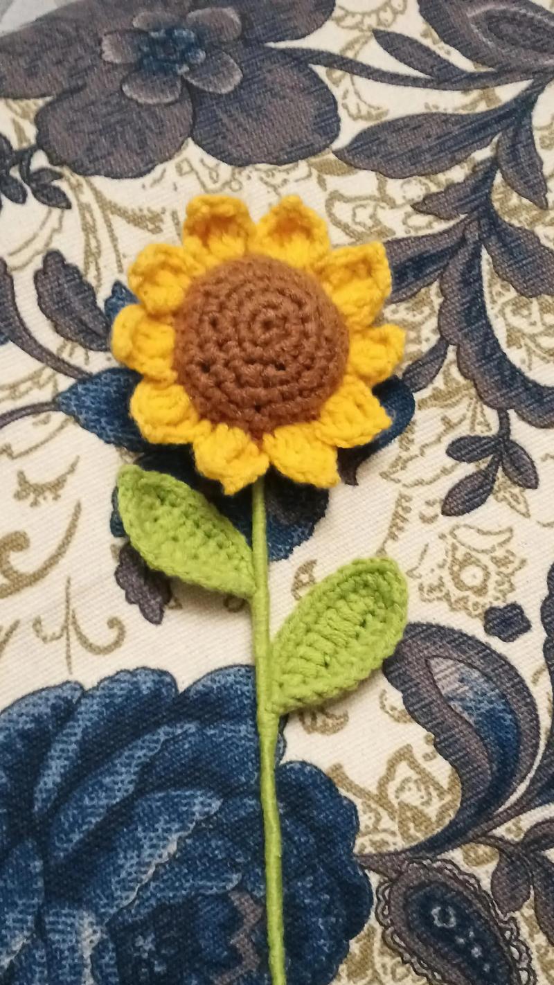 太阳花的花语具体是什么样的？