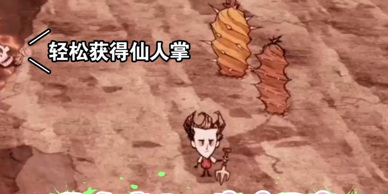 海难仙人掌的种植方法是什么？种植过程中需要注意什么？