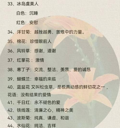 玫瑰系花卉的花语有哪些？