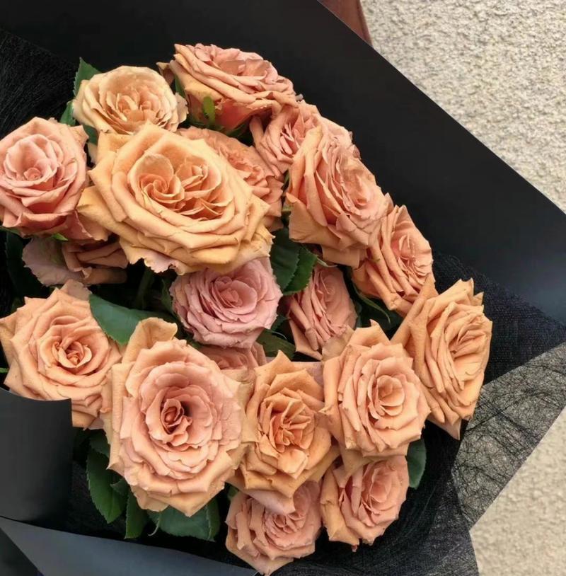 蝉花玫瑰花苞的养护方法是什么？