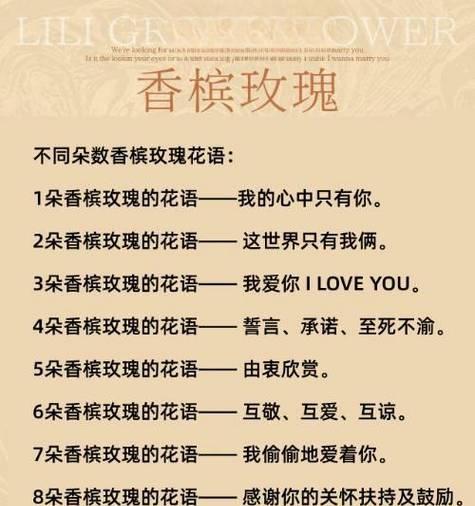 香槟百合的花语是什么？香槟百合的寓意是什么？