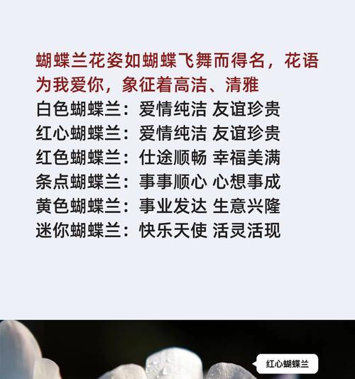 蝴蝶篮花语代表什么？蝴蝶篮的寓意是什么？