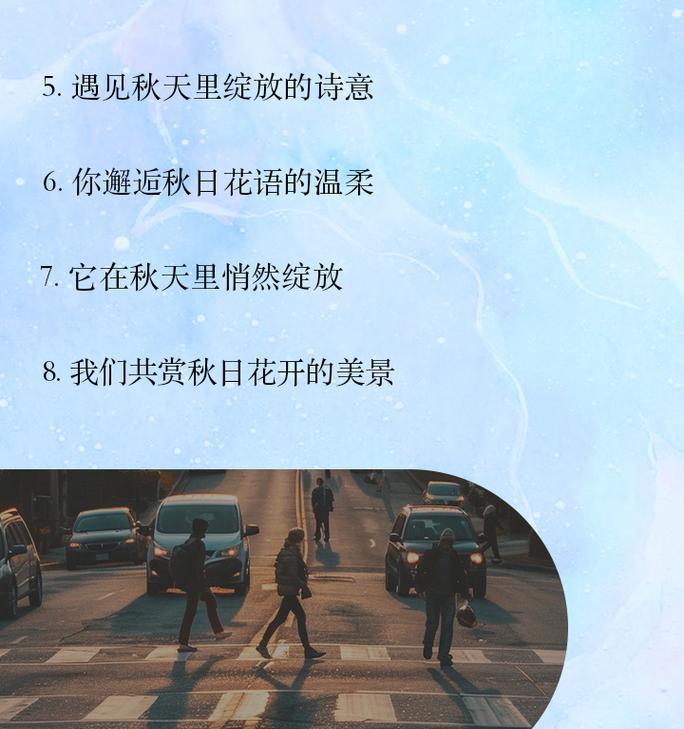 一束暖阳象征着什么花语？