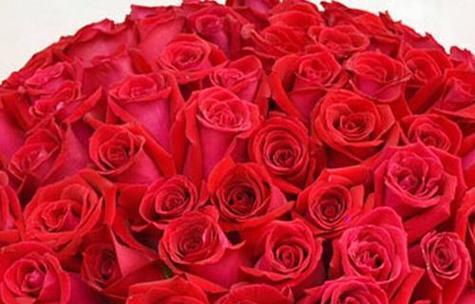 12朵玫瑰花传递了什么信息？它的花语有何特殊含义？