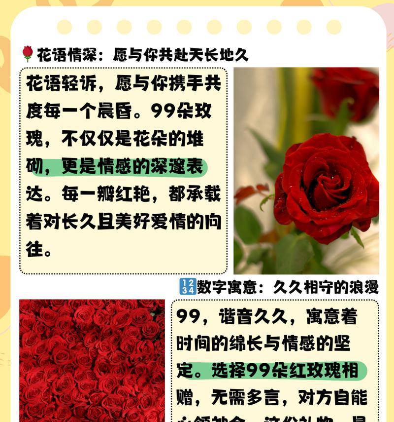 12朵玫瑰花传递了什么信息？它的花语有何特殊含义？