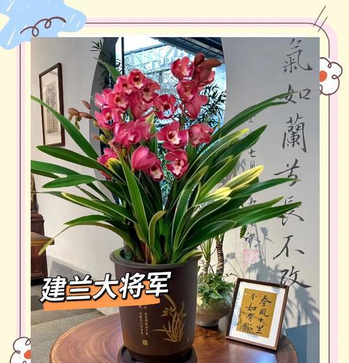 生性淡泊的花语代表了什么意义？