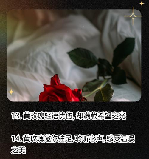 玫瑰花枯萎发黄的可能原因是什么？
