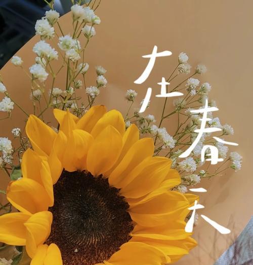 送给祝福对象的花语有何特别含义？