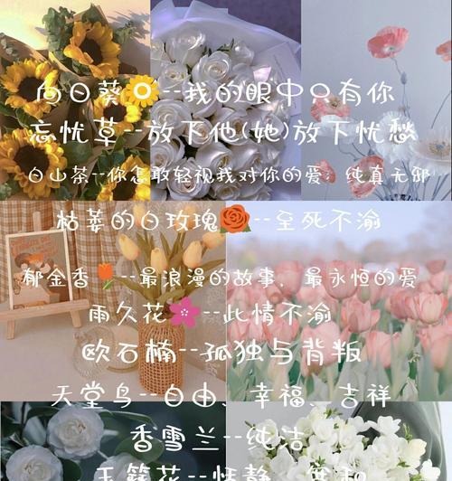 还有什么样的花语呢？如何解读花语背后的含义？