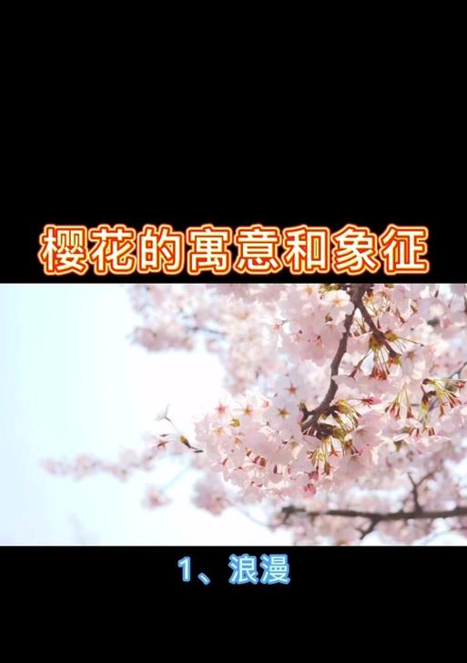 富翁牌烟花的吉祥花语是什么？