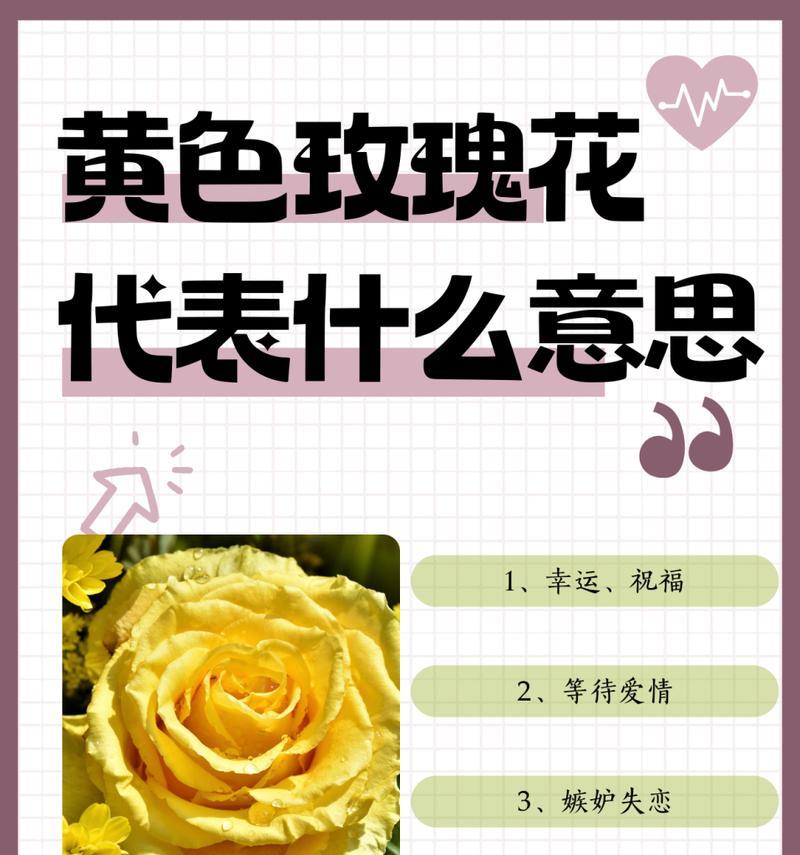 哪种花的花语寓意着纪念逝去的人？它代表了怎样的哀悼？