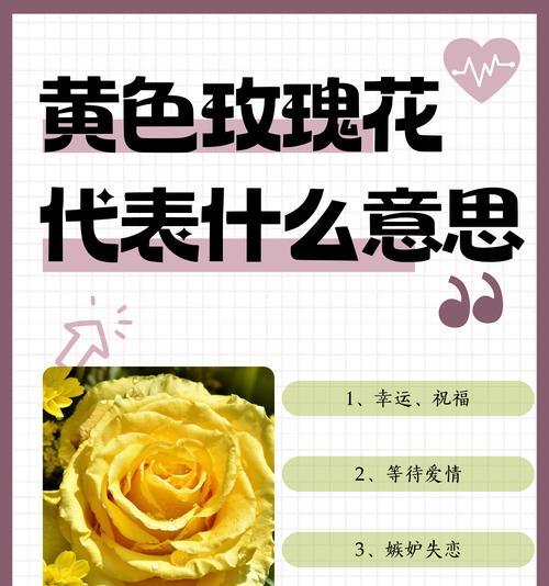 好看却有毒的玫瑰花语有何含义？