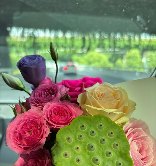 阳光寓意的花有哪些？花语表达什么情感？