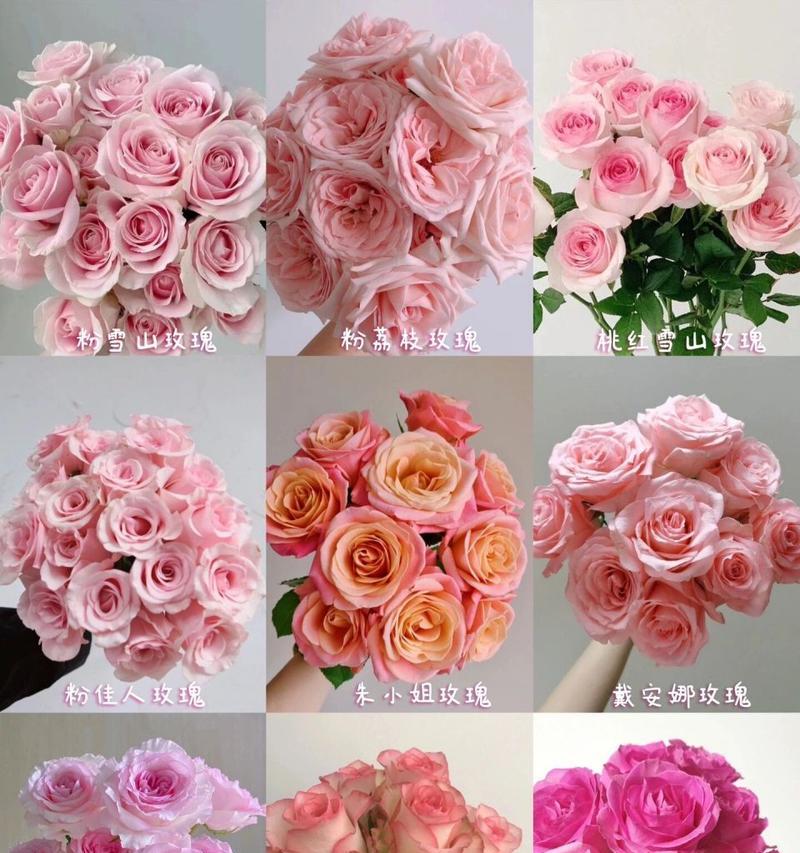 如何识别花店的避雷花语？