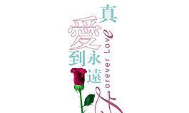 永恒的爱花语有哪些？