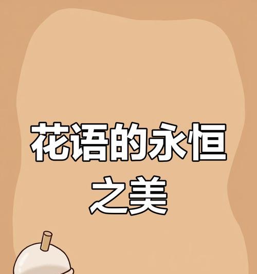 永恒的爱花语有哪些？