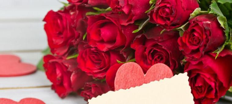 红色玫瑰花代表什么？这种花语背后有什么特别的含义？