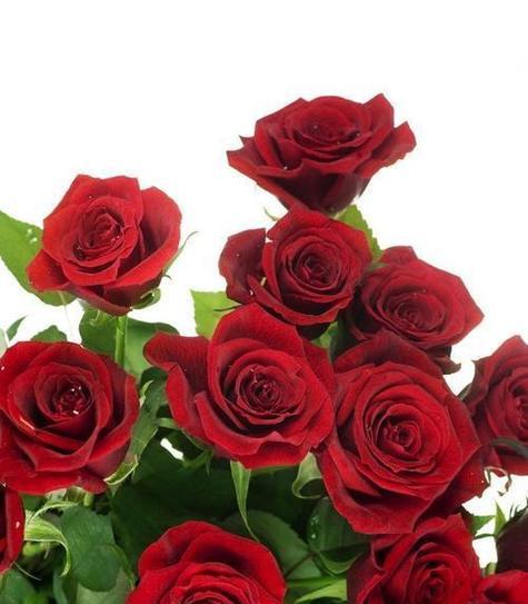 四朵玫瑰花的花语是什么？