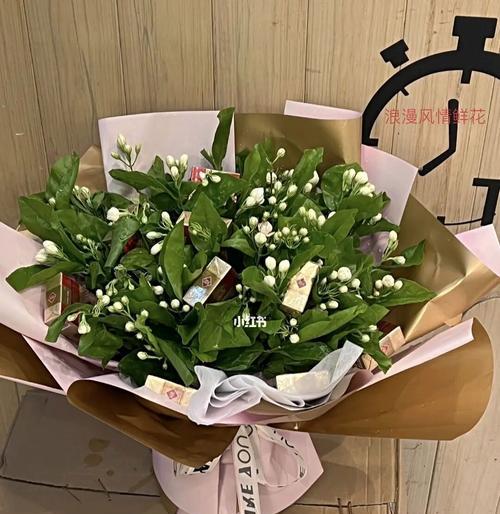 中华烟盒子的花语是什么？代表了什么含义？