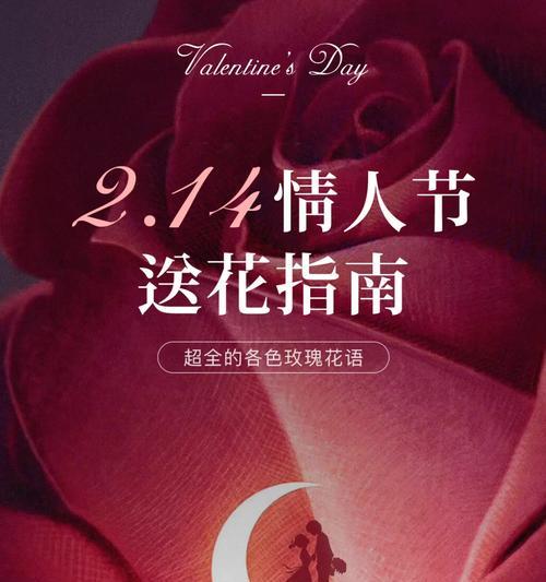 高雅爱人玫瑰花的花语是什么？代表了什么？