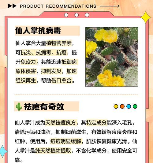 仙人掌花语暗示什么？如何解读其独特含义？