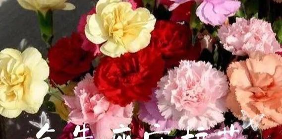 水瓶的花语是什么？水瓶座与花语有何联系？