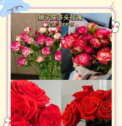 水瓶的花语是什么？水瓶座与花语有何联系？