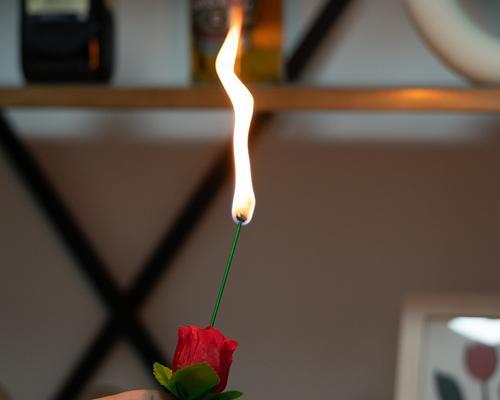 玫瑰花魔术的寓意是什么？玫瑰花魔术代表什么？