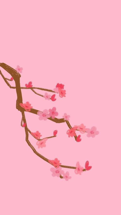 梅花的花语有哪些？它代表了什么意义？