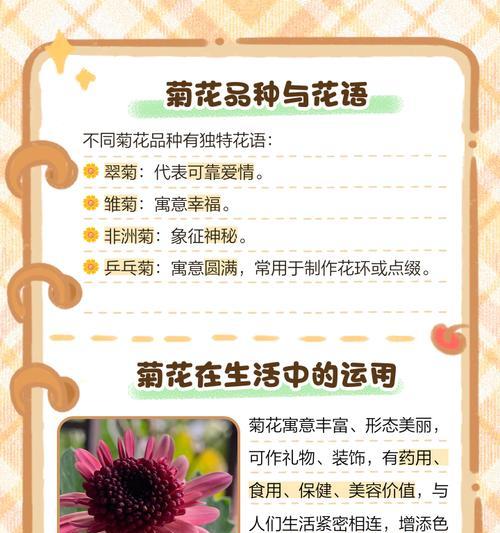 菊花祭拜9朵花语是什么？这个数量的菊花在祭拜中有何特殊含义？