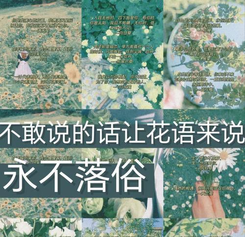 六种花的经典花语分别是什么？