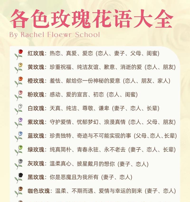 19支玫瑰花语有何特别之处？