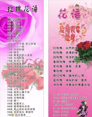 19支玫瑰花语有何特别之处？