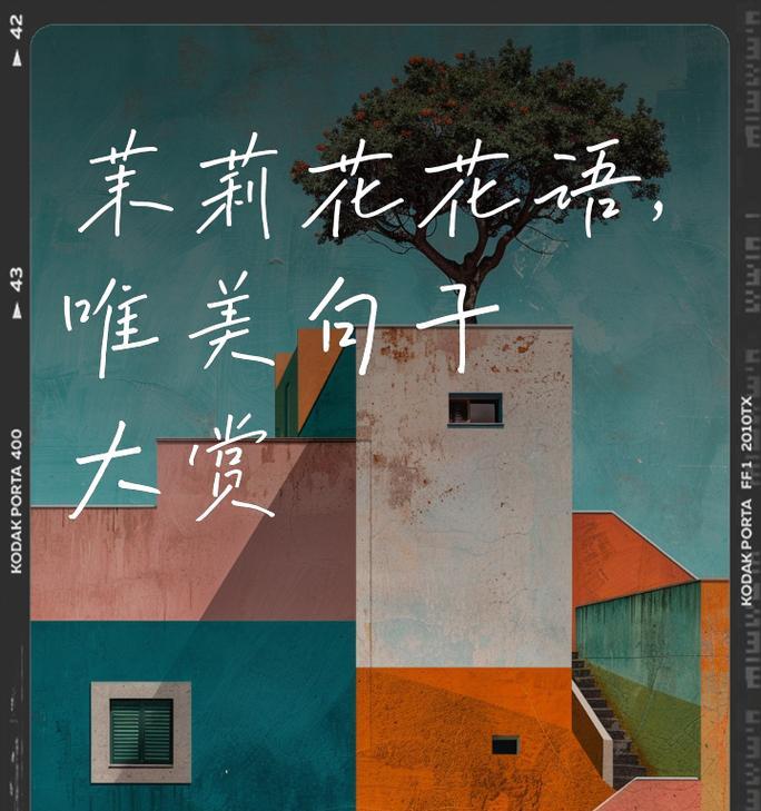 玫瑰和茉莉共同表达的花语是什么？