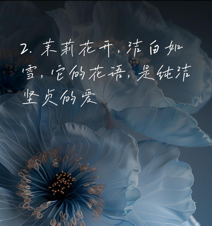 玫瑰和茉莉共同表达的花语是什么？