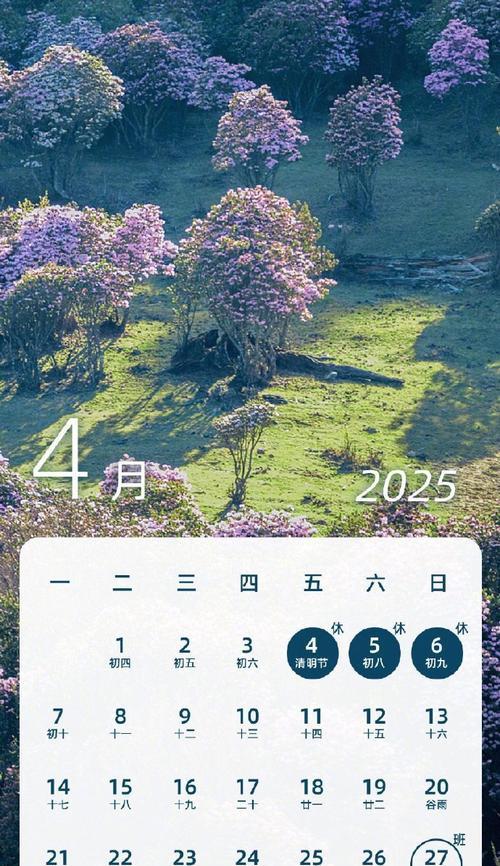 2月26日的花语日历有哪些特别之处？