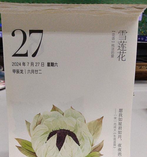 2月26日的花语日历有哪些特别之处？