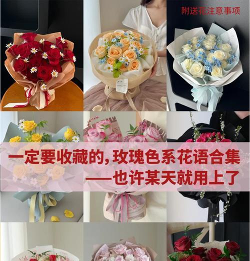 特好听的花语有哪些？这些花语有何特别之处？