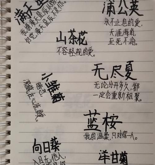 特好听的花语有哪些？这些花语有何特别之处？