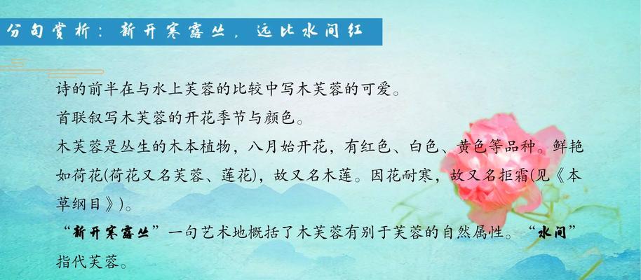 白木芙蓉的花语代表什么？芙蓉花的含义有哪些？