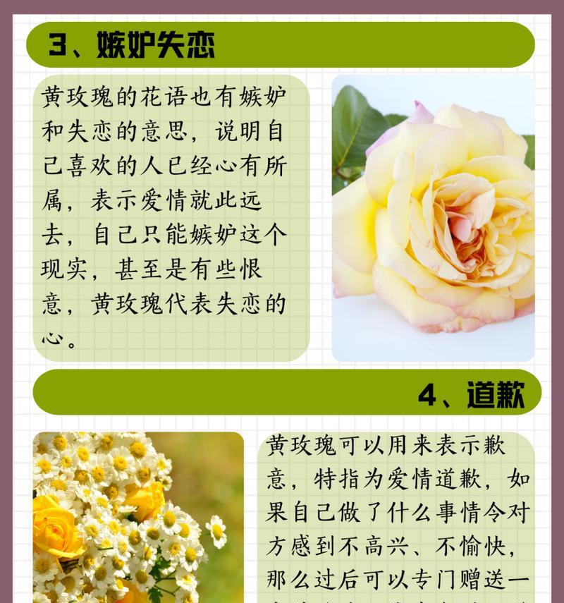 19朵玫瑰代表什么花语？19朵玫瑰有何特殊含义？